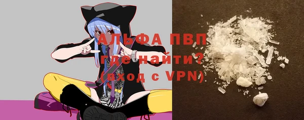 мдпв Верея