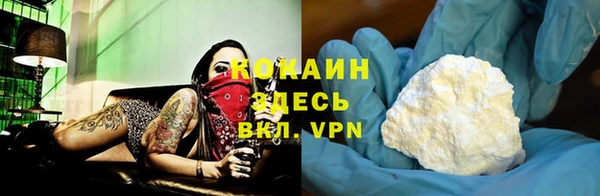 мдпв Верея
