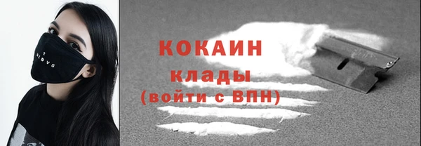 мдпв Верея