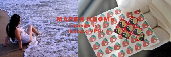 мдпв Верея