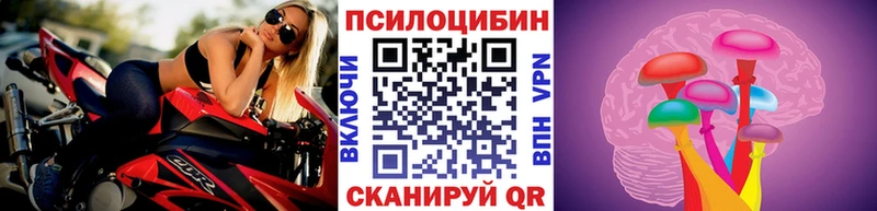 наркошоп  Вилючинск  Псилоцибиновые грибы GOLDEN TEACHER 